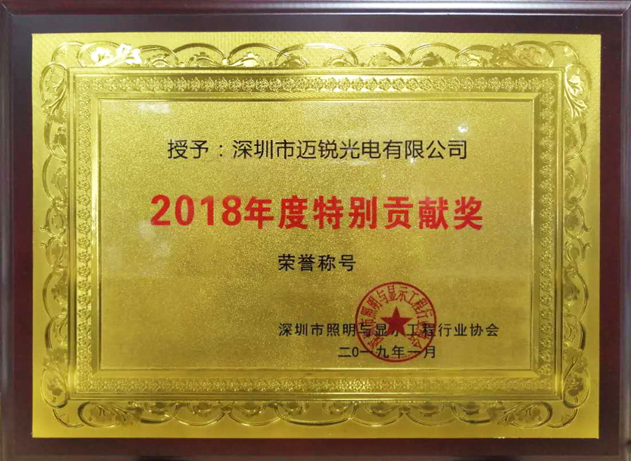 BG大游光电喜获“2018年度特别贡献奖”.jpg